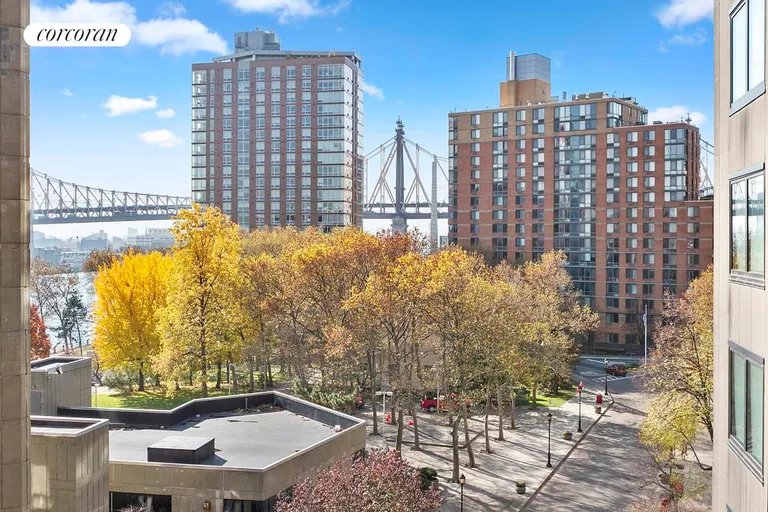 New York City Real Estate | View 531 Main Street, 718 | View from the terrace! | View 4
