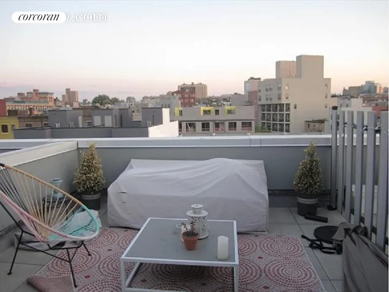 New York City Real Estate | View 818 Dean Street, 2B | Private Roof Deck | View 2