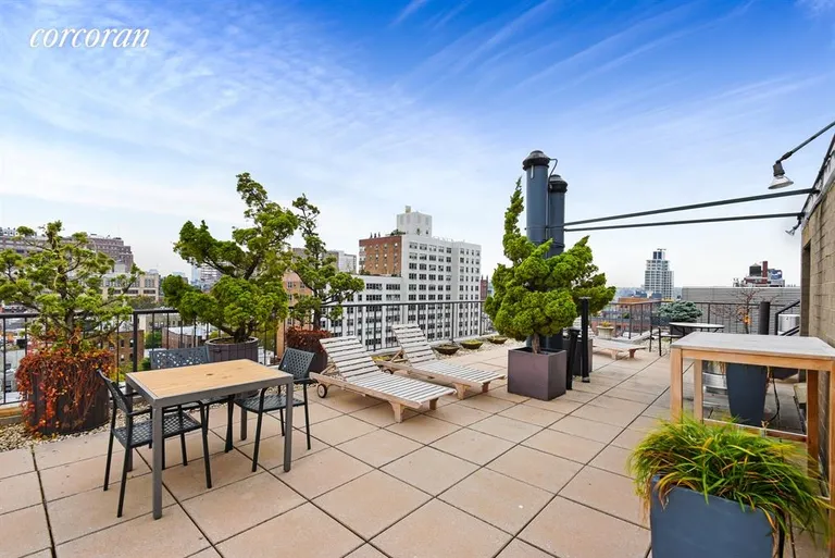 New York City Real Estate | View 344 West 23rd Street, 6A | Common Roof Deck with Spectacular Views | View 7