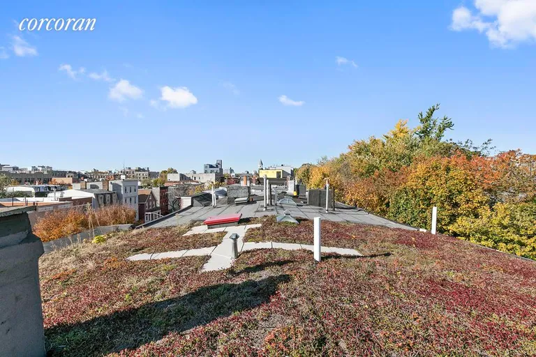 New York City Real Estate | View 183 Madison Street | Green Roof | View 11
