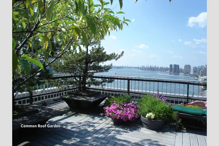 New York City Real Estate | View 45 Sutton Place South, 7JK | room 5 | View 6