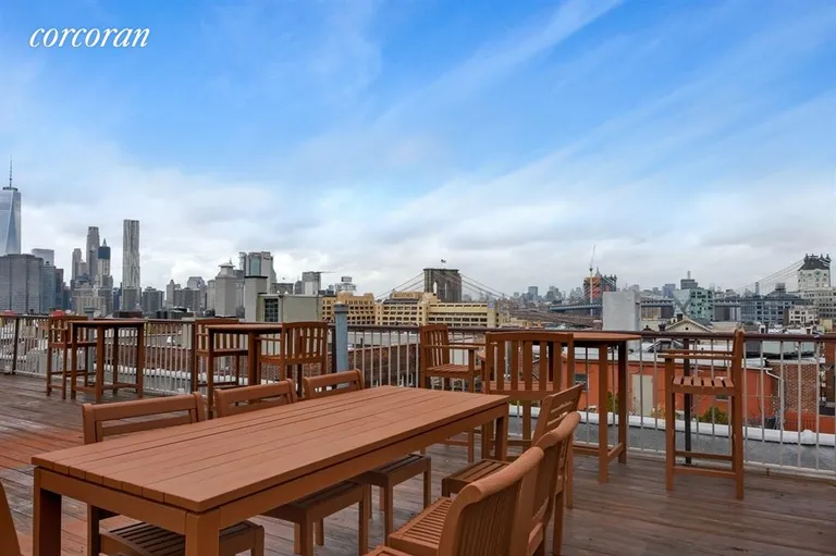 New York City Real Estate | View 59 Pineapple Street, 2J | Common Roof Deck with Magnificent Views! | View 4