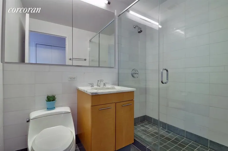 New York City Real Estate | View 230 Ashland Place, 5A | Luxury bathroom | View 5