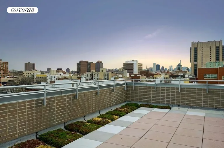 New York City Real Estate | View 2231 Adam C Powell Blvd, 404 | room 7 | View 8