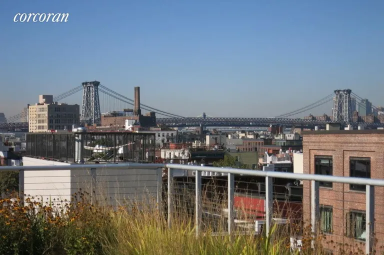 New York City Real Estate | View 125 North 10th Street, S4D | WB Bridge Views From Common South Rooftop | View 10