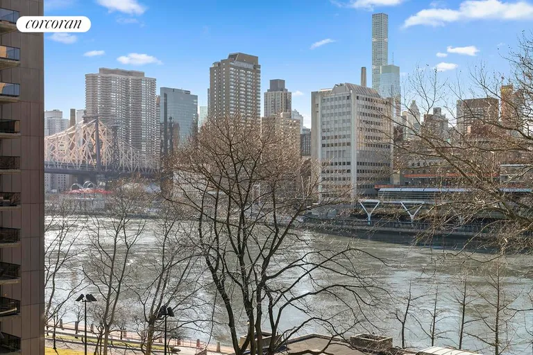 New York City Real Estate | View 531 Main Street, 611 | river view from the living room | View 5