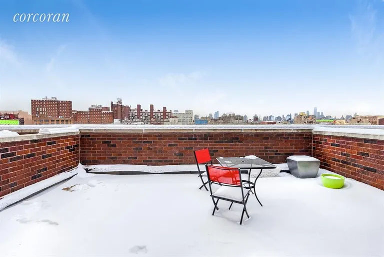 New York City Real Estate | View 201 Spencer Street, 7A | Terrace | View 6