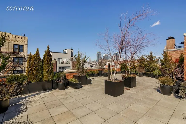 New York City Real Estate | View 150 South 1st Street, 3D | Common Garden Roof Deck | View 4