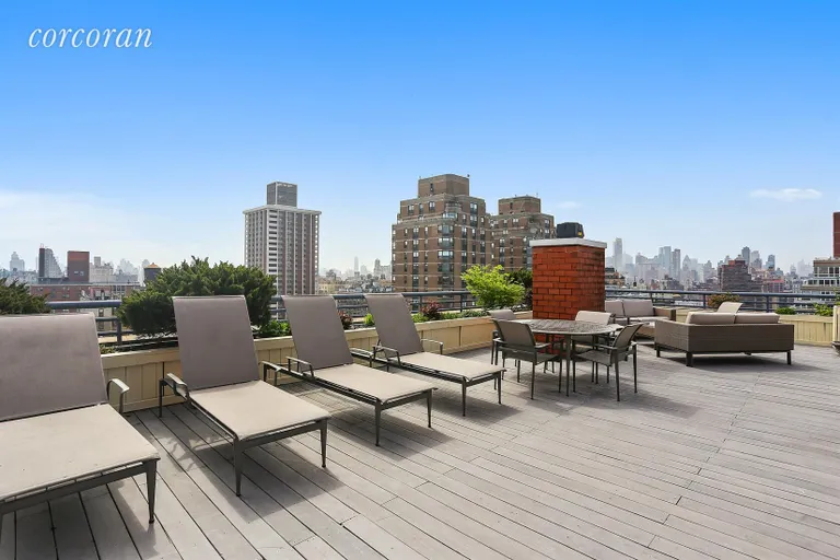 New York City Real Estate | View 250 West 89th Street, PH3C | Roof Deck | View 8