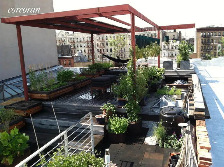New York City Real Estate | View 457 Grand Street, 3 | Rooftop Garden  | View 7
