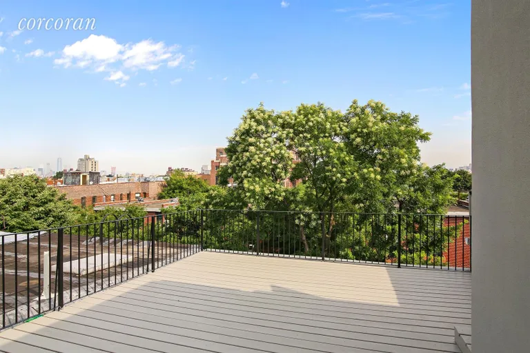 New York City Real Estate | View 521 Greene Avenue, 2 | Roof Deck | View 7