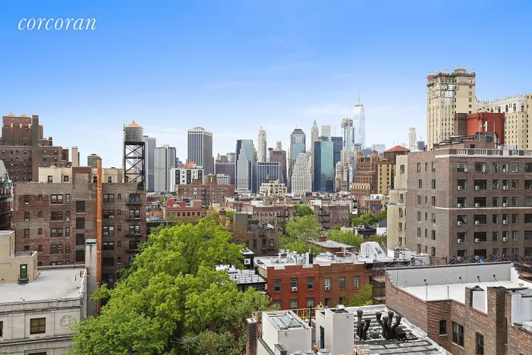 New York City Real Estate | View 40 Clinton Street, 6D | Amazing view of Manhattan from the roof deck | View 2