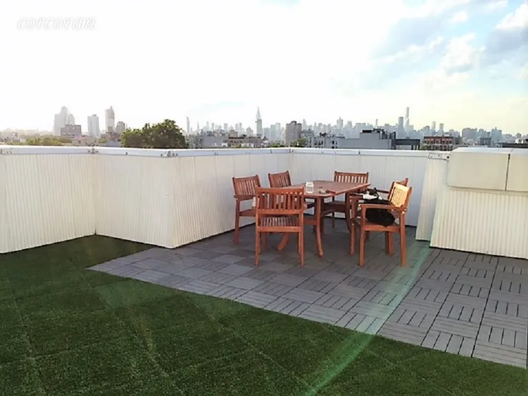 New York City Real Estate | View 134 Powers Street, 2C | Shared Roof | View 11
