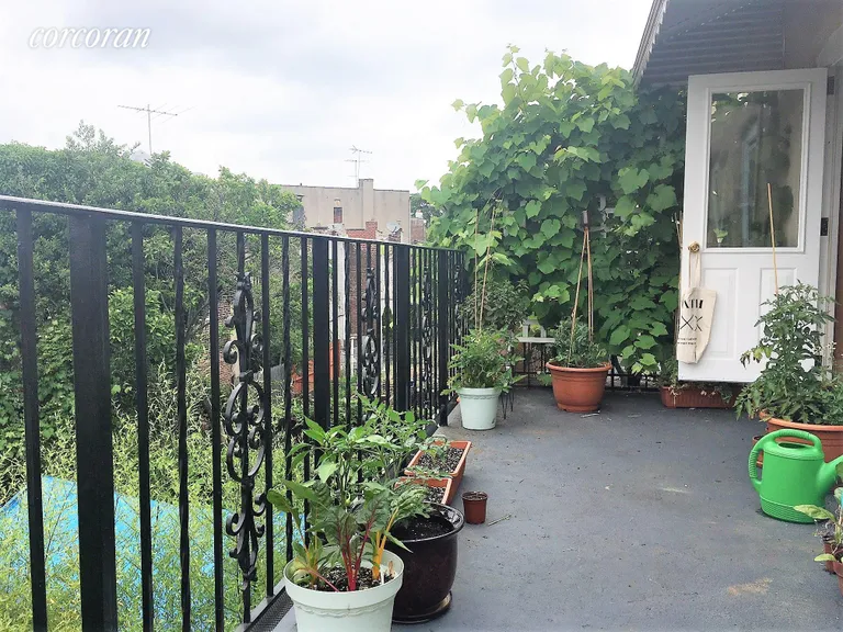 New York City Real Estate | View 5811 69th Avenue, 2 | Terrace | View 10