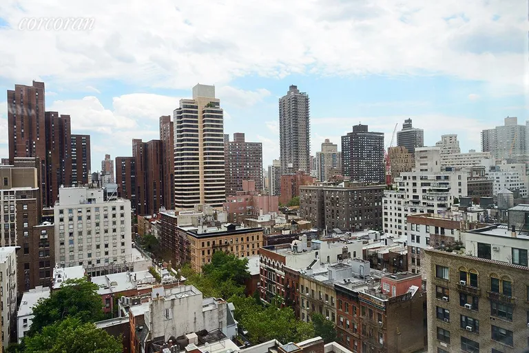 New York City Real Estate | View 1155 Park Avenue, 10SW | East View from Library | View 6