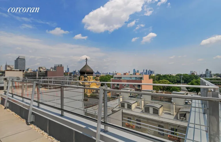 New York City Real Estate | View 214 North 11th Street, 4T | Common Rooftop | View 6