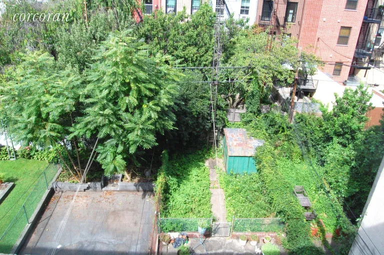 New York City Real Estate | View 119 3rd Place, Top | View of backyard | View 8