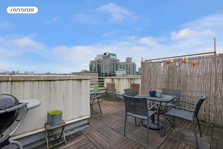 New York City Real Estate | View 361 Carroll Street, 2D | Private Rooftop Cabana | View 4