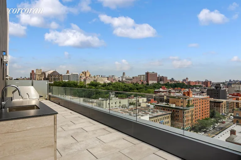 New York City Real Estate | View 285 West 110th Street, 3B | Roof Deck | View 10