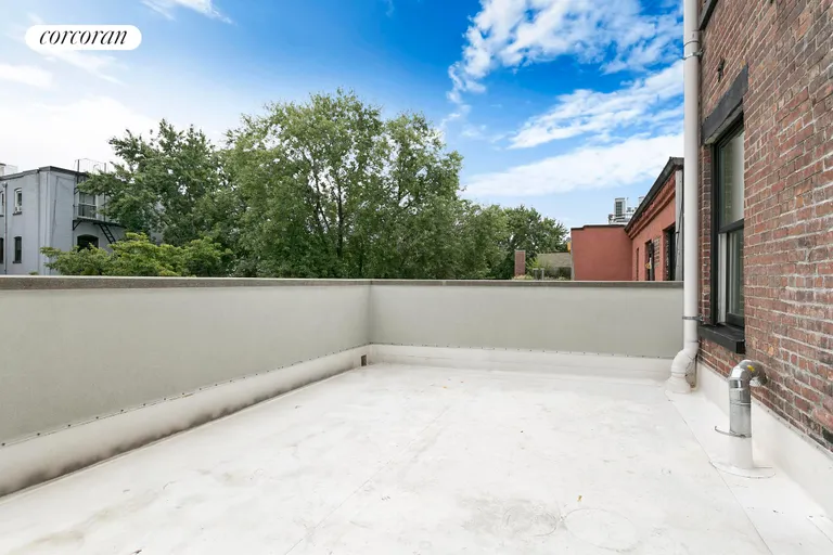 New York City Real Estate | View 15 Tompkins Place | Terrace | View 8