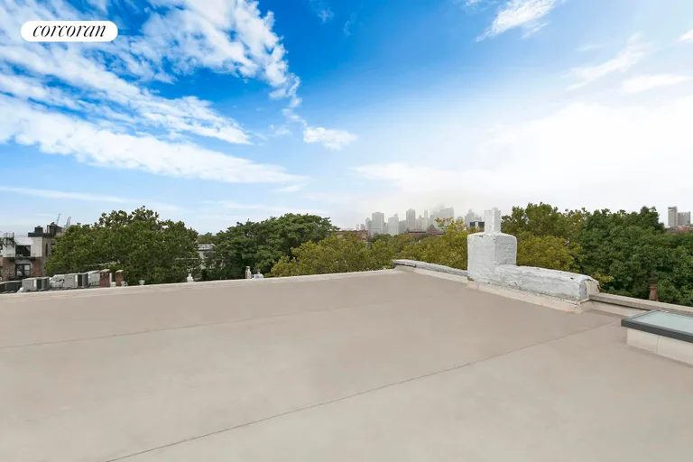 New York City Real Estate | View 15 Tompkins Place | Roof | View 12