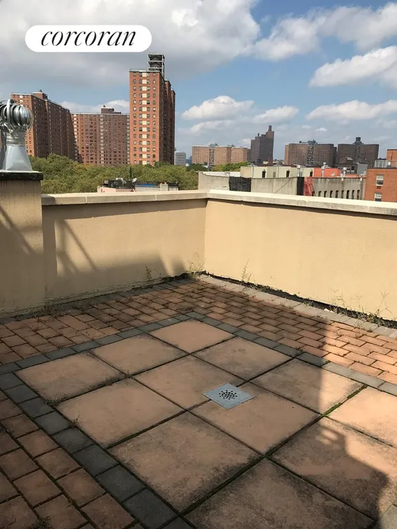 New York City Real Estate | View 352 West 123 St., PH | Terrace  | View 8