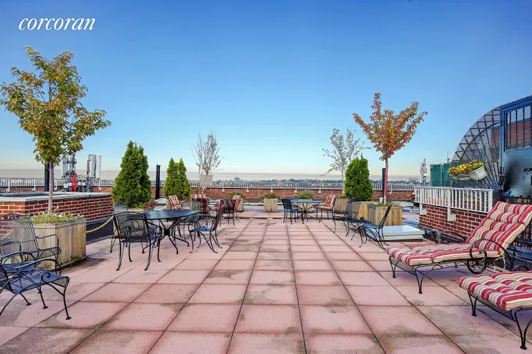 New York City Real Estate | View 420 Riverside Drive, 9B | Common Planted Roof Terrace | View 9