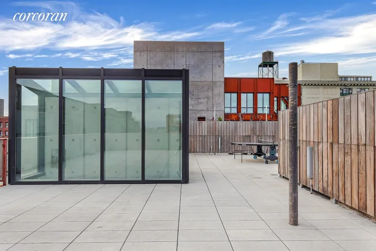 New York City Real Estate | View 205 Water Street, 7FG | Private Roof Deck | View 11