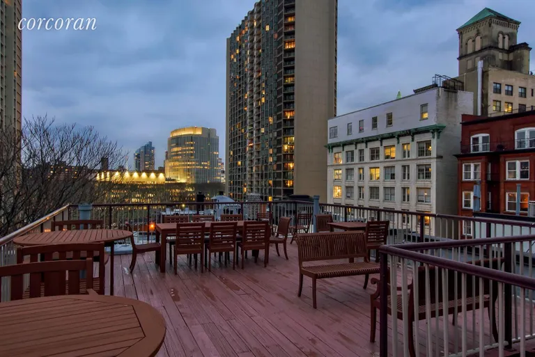 New York City Real Estate | View 59 Pineapple Street, 5k | Roof Deck | View 7