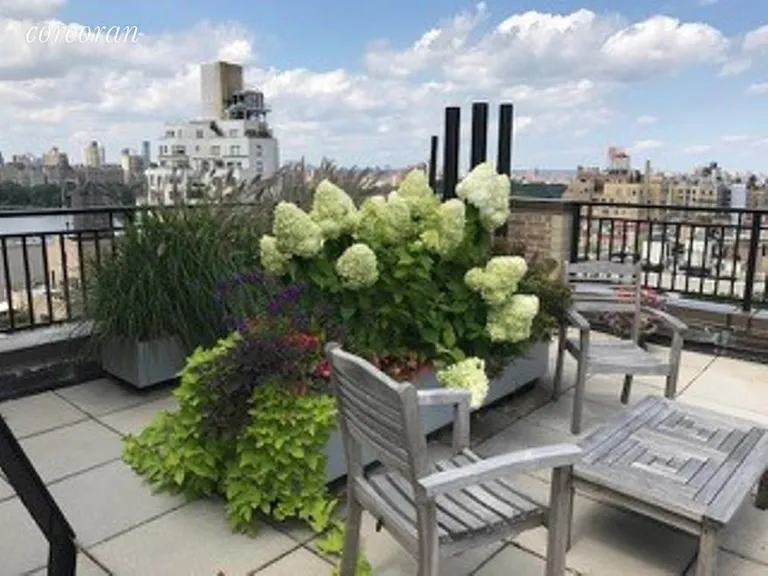 New York City Real Estate | View 19 East 88th Street, 7H | Building's magnificent roof terrace  | View 5