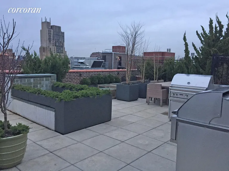 New York City Real Estate | View 140 West 22Nd Street, 6D | Great planted Roof deck! | View 7
