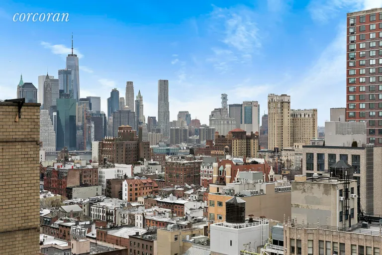 New York City Real Estate | View 75 Livingston Street, 20A | Views of Downtown Manhattan | View 9