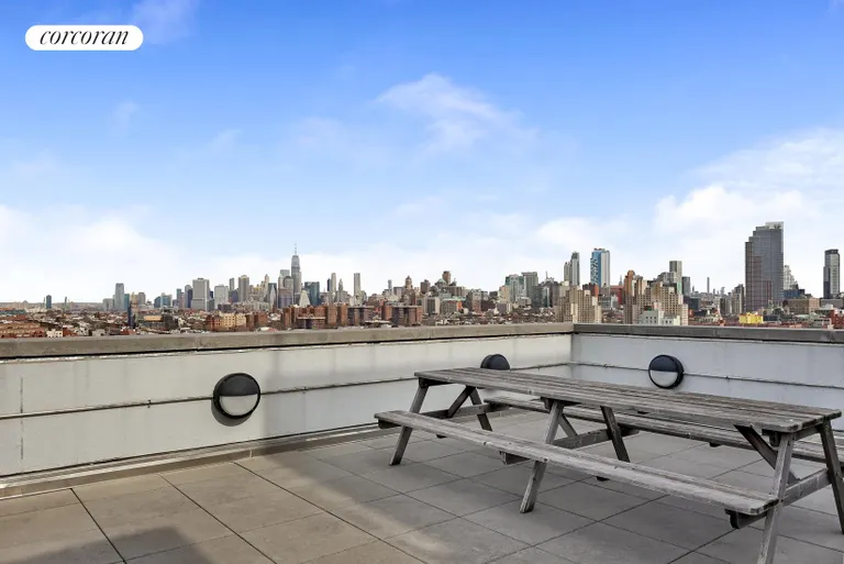 New York City Real Estate | View 560 Carroll Street, 2C | Roof Deck | View 6