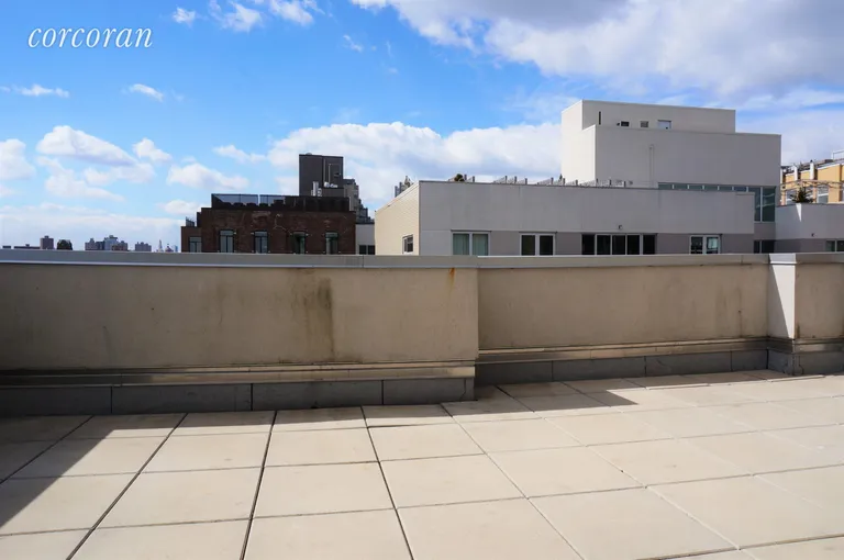 New York City Real Estate | View 135 North 11th Street, PH-6E | Private Roof Terrace | View 6