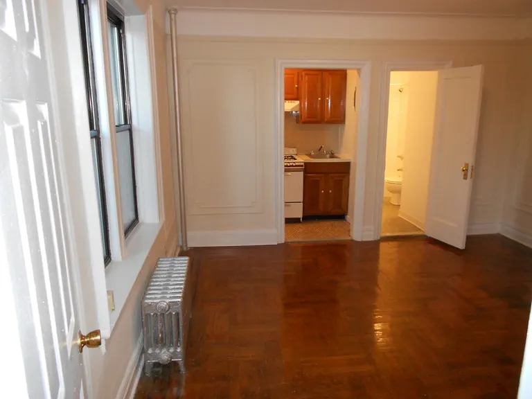 New York City Real Estate | View 269 Prospect Place, 2E | room 3 | View 4