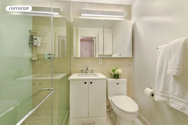 New York City Real Estate | View 343 4th Avenue, 8I | Master Bathroom | View 6