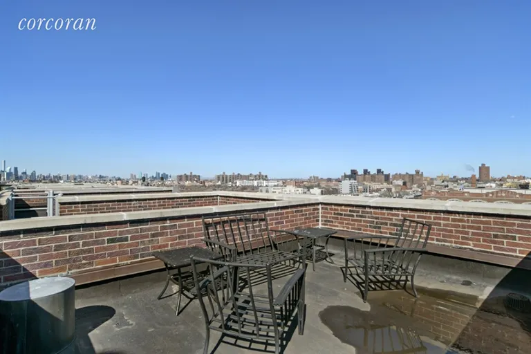 New York City Real Estate | View 197 Spencer Street, 9B | Private Roof Deck | View 10