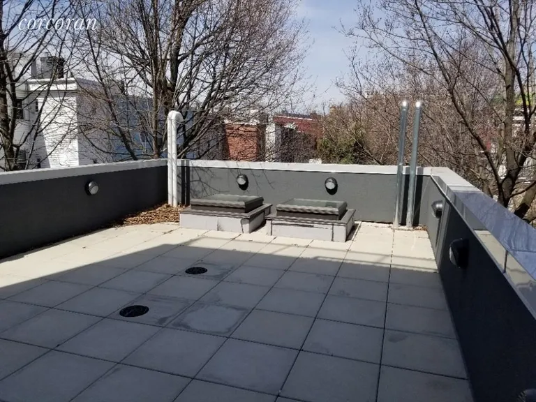 New York City Real Estate | View 491 Myrtle Avenue, 2B | room 2 | View 3