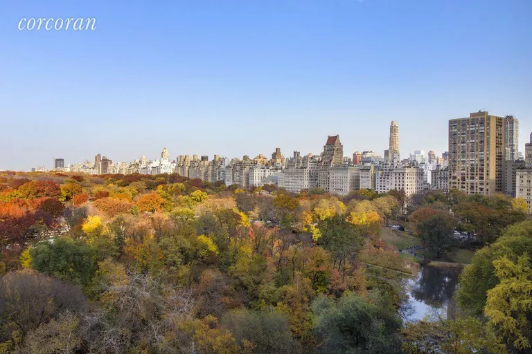 New York City Real Estate | View 100 Central Park South, 13A | room 1 | View 2