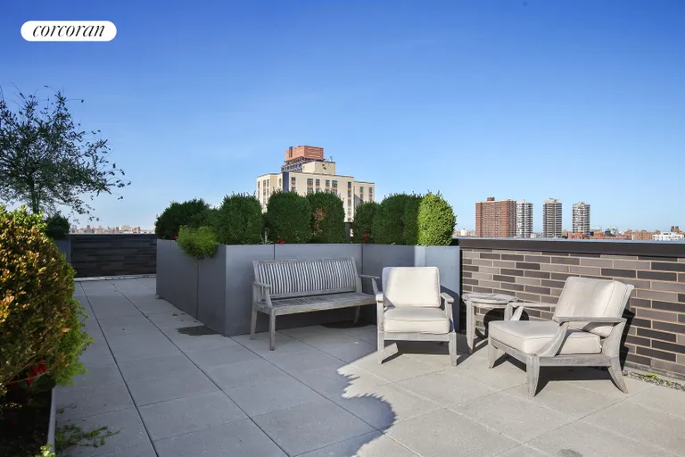 New York City Real Estate | View 23 West 116th Street, 3C | Roof Deck | View 7