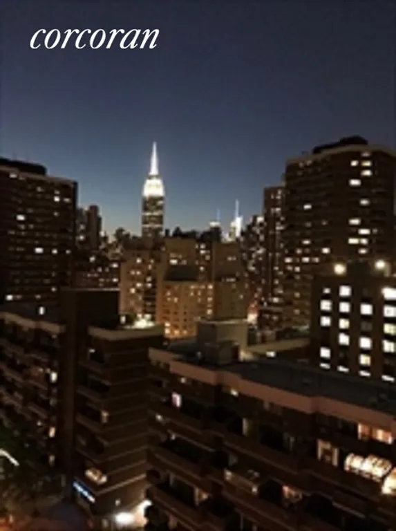 New York City Real Estate | View 385 First Avenue, 16B | Fabulous Night View | View 8