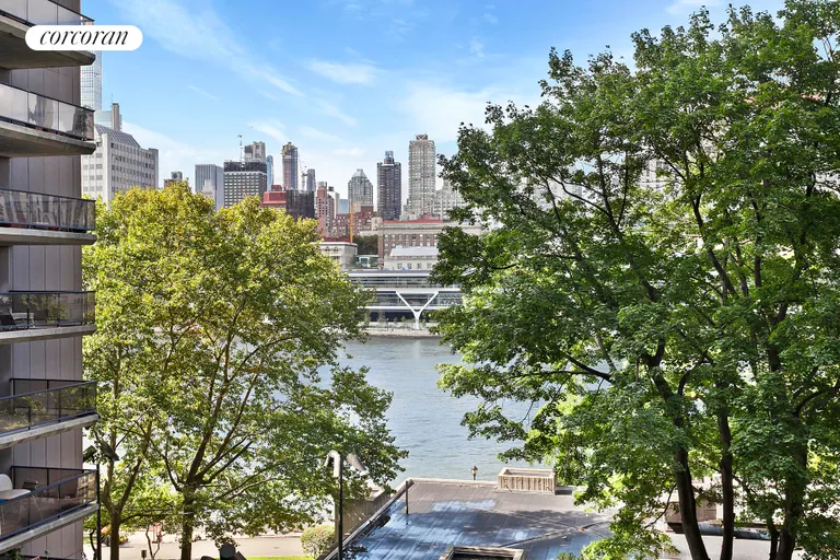 New York City Real Estate | View 531 Main Street, 502 | Springtime View from Balcony | View 3