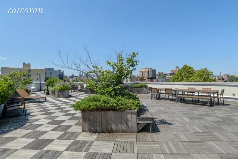 New York City Real Estate | View 315 Gates Avenue, 1B | Common Roof Deck | View 9