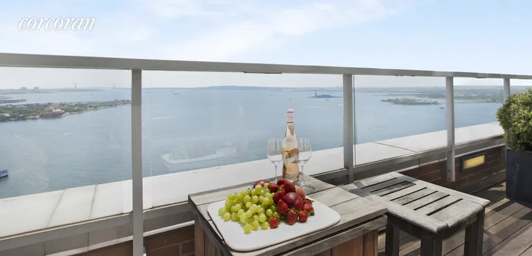 New York City Real Estate | View 10 West Street, PH2C | Terrace with Iconic NY Harbor Views | View 14