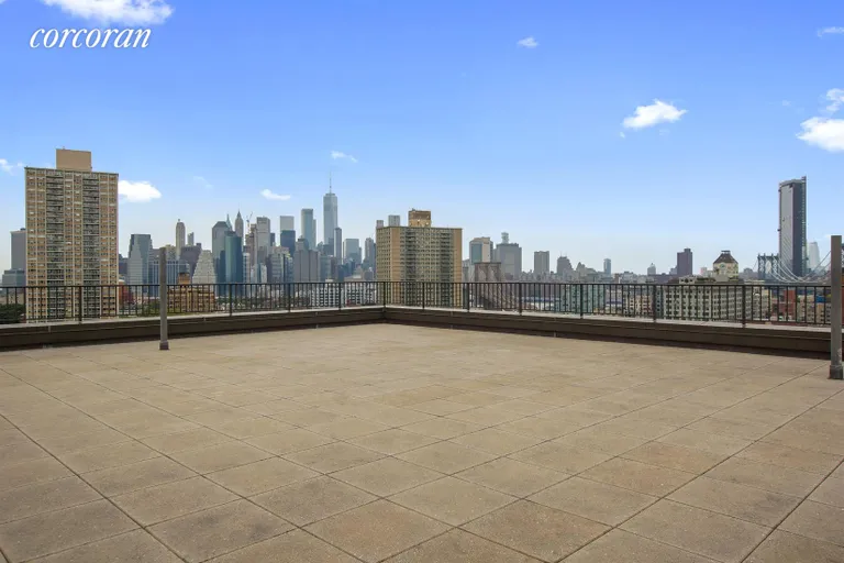 New York City Real Estate | View 215 Adams Street, 9H | Roof deck view | View 8