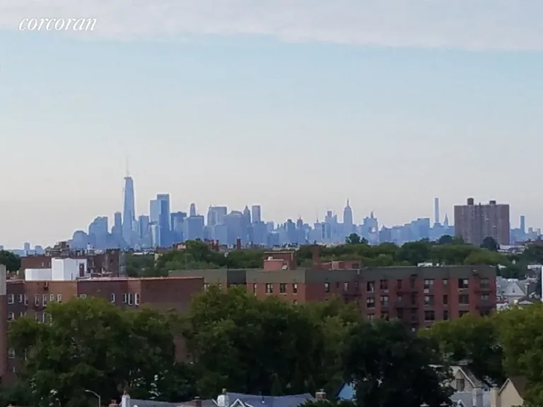 New York City Real Estate | View 9917 Shore Road, 4A | Roof Top View Of NYC | View 11