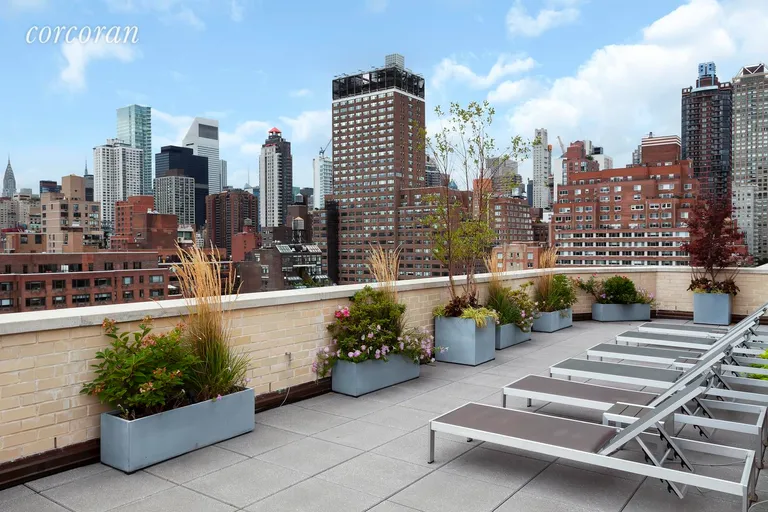 New York City Real Estate | View 435 East 65th Street, 9A | Newly renovated roof top | View 5