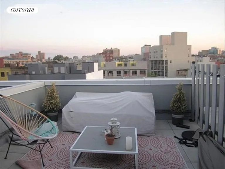 New York City Real Estate | View 816 Dean Street, 3D | Private Roof Deck | View 5