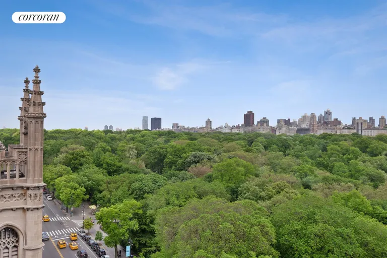 New York City Real Estate | View 151 Central Park West, 10N | Direct Central Park View North | View 6