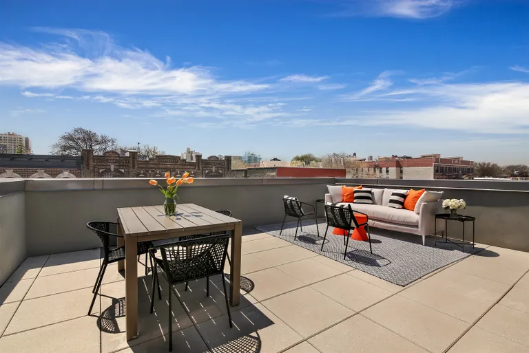 New York City Real Estate | View 375 Prospect Place, 4A | Terrace | View 8